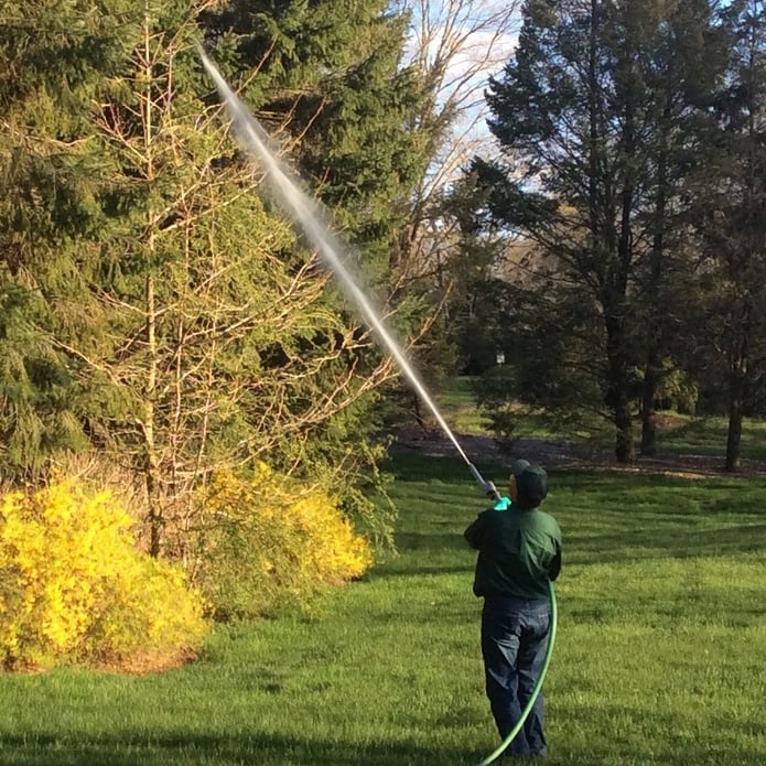 Time For Dormant Oil Application To Fruit Trees